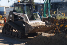 Gallery-Bobcats